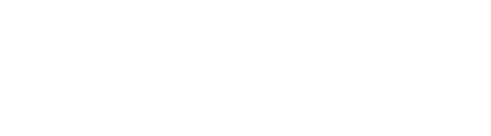 Palmava