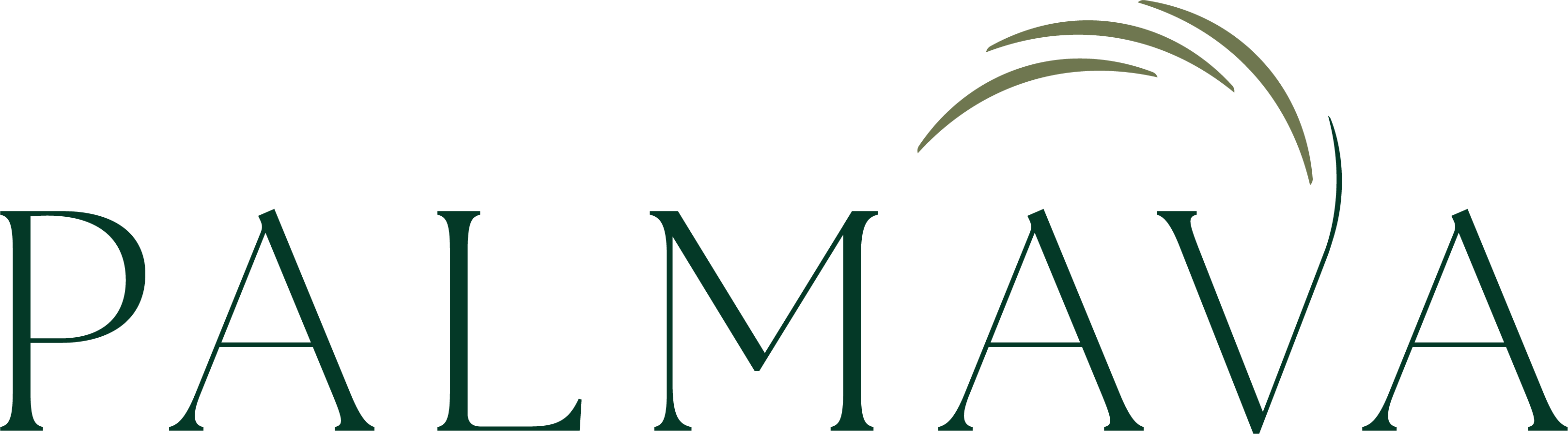 Palmava
